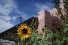 DSC04149