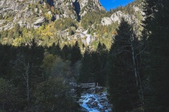 IMG_1326